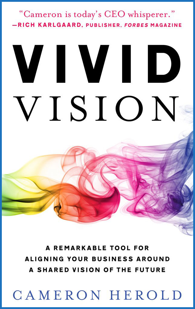 Vivid Vision book cover by Cameron Herold