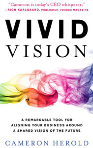 Vivid Vision by Cameron Herold