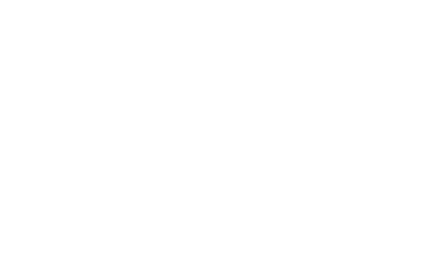 section-10-white-rect