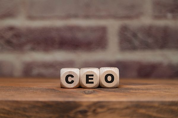 SIC 255 | CEO COO Relationship