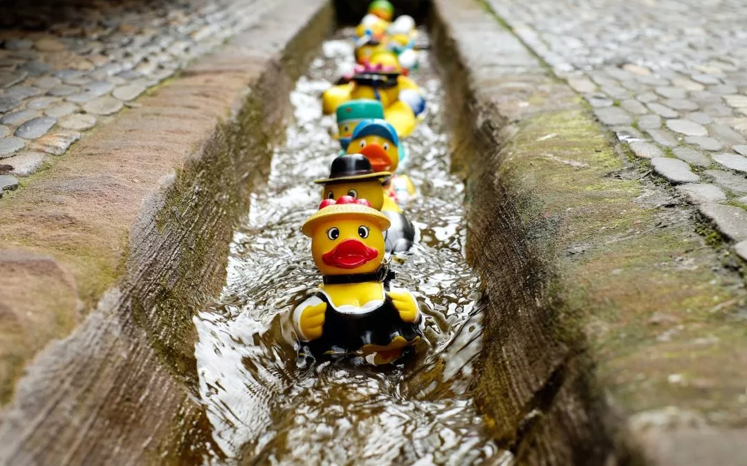 Why All COOs Need to Foster a Fun Work Environment to Increase Productivity
